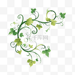绿色螺旋图片_白色背景矢量卡通上绿色藤蔓的藤