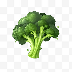 绿色生活插画图片_新鲜绿色西兰花插画蔬菜元素