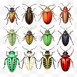 可爱昆虫插画图片_昆虫和虫子插画