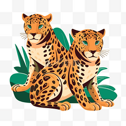 美洲虎剪贴画两只豹子动物坐在热