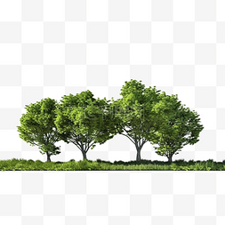 草地上 3d 渲染树的 3ds 渲染图像