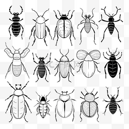 昆虫素描图片_昆虫