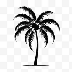棕櫚樹剪影