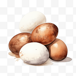 送鸡蛋图片_棕色白色鸡蛋水彩剪贴画ai生成