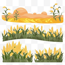 玉米田剪贴画集白色田野与黄色玉