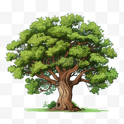 孤立的一棵老树的插图