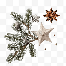 圣诞作文与圣诞树的星星和树枝