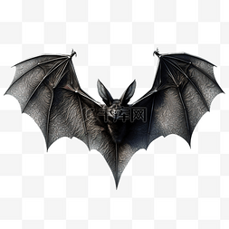 黑色血液图片_黑色万圣节飞行蝙蝠