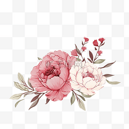 粉色优雅背景图片_松散水彩涂鸦线条艺术牡丹花花束