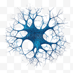 脑内的神经图片_神经网络图