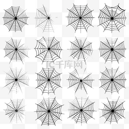 蜘蛛网的集合
