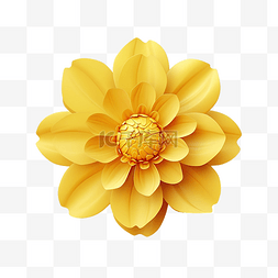 3d 风格的黄色花朵插图