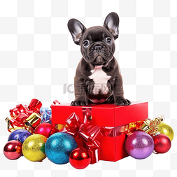 装在盒子的礼物图片_法国斗牛犬小狗装在礼品盒中，圣