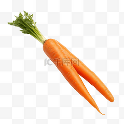 水果蔬菜透明背景图片_橙色胡萝卜这是一种蔬菜