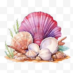 贝壳bang图片_水彩贝类海洋动物