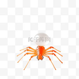 橙色场景中的白色蜘蛛网