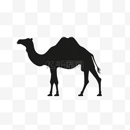 骆驼行走黑色剪影