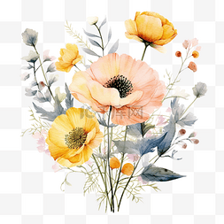 花卉水彩插圖