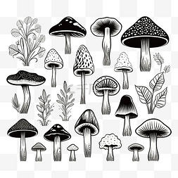 黑白物品图片_一组不可食用蘑菇的矢量图像