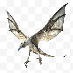 翼手龙恐龙3D模型