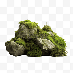 苔藓岩石图片_苔藓和粗糙的石头隔离png照片高品