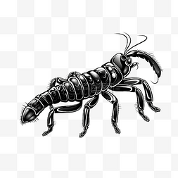 蚂蚁蟑螂图片_黑色涂鸦蝎子