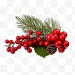 带有冷杉枝和红色浆果的圣诞组合