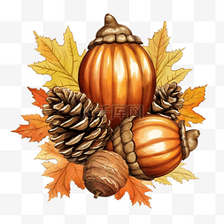 秋季橡子感恩节装饰插画图形元素