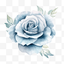 手绘玫瑰花装饰图片_水彩尘土飞扬的蓝色玫瑰花或婚礼