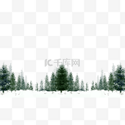 冬季雪景绿色树林