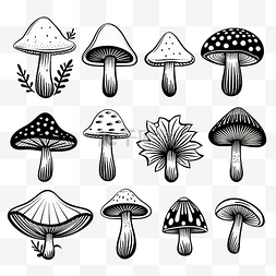 植物黑白矢量图图片_一组不可食用蘑菇的矢量图像