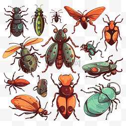 各种昆虫卡通的 bug 剪贴画插图 向
