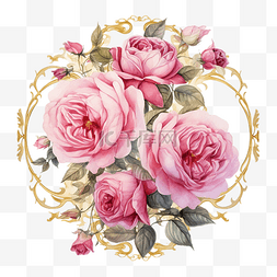美丽的粉色水彩英国玫瑰，带金框