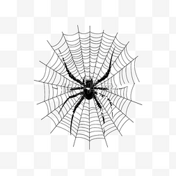 黑蜘蛛和撕裂的网
