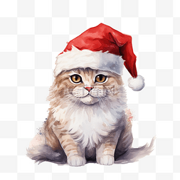 带尾巴的动物图片_带着圣诞老人帽子的可爱快乐猫的