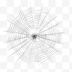 涂鸦渲染背景图片_3D 渲染蜘蛛网用于万圣节庆祝日装