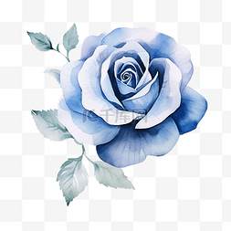 水彩玫瑰蓝色剪贴画