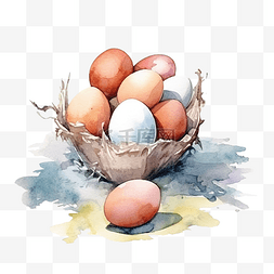 水彩农场鸡蛋