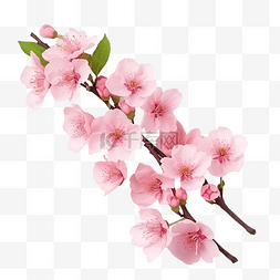 卡通花朵背景装饰图片_树枝上有一束粉红色的花朵