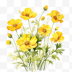 黄色的花，有茎和叶