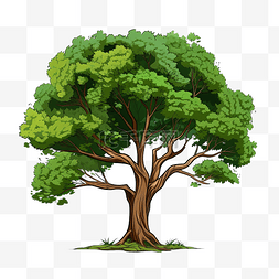 树平面颜色