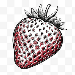 手绘草莓线条图片_草莓半片隔离水果线艺术隔离