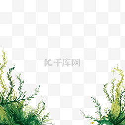 水彩海藻图片_背景与海藻