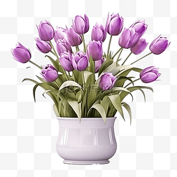 3d 渲染迷人的紫色郁金香花盆隔离