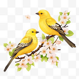 黄色的鸟和小鸡在开花的树枝上