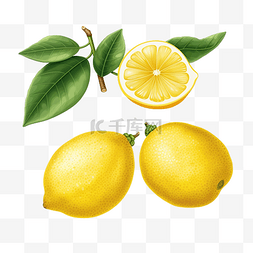 青桔柠檬百香果图片_柠檬水果分离插画ai生成