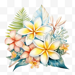 海洋插图图片_热带鸡蛋花贝壳海星异国情调的花