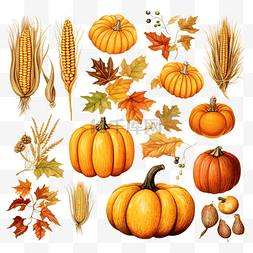 感恩节和丰收节的季节性秋季插图