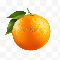 新鲜水果白色图片_新鲜橙子 PNG