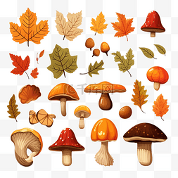 你好秋天设置??蘑菇